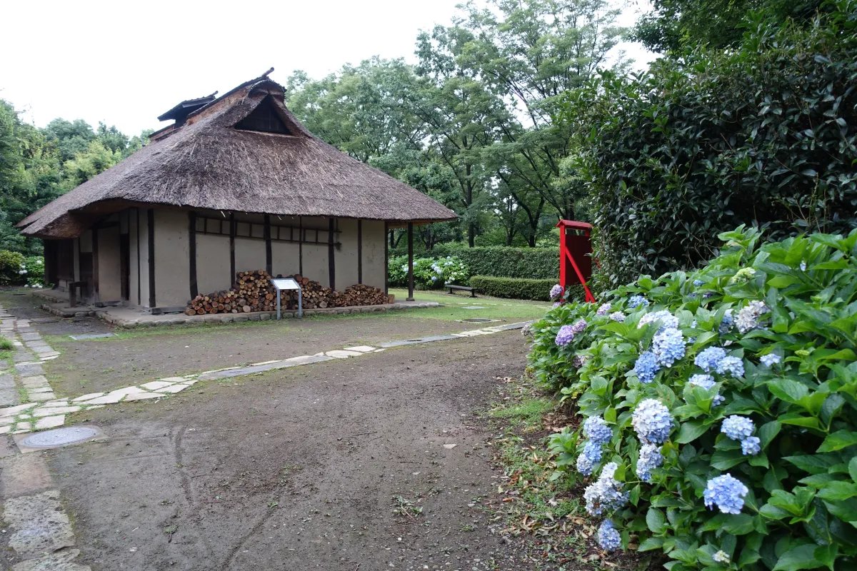 🏞️ 후추시 향토의 숲 박물관 (후추시 쿄도노모리 하쿠부츠칸) 이미지 10